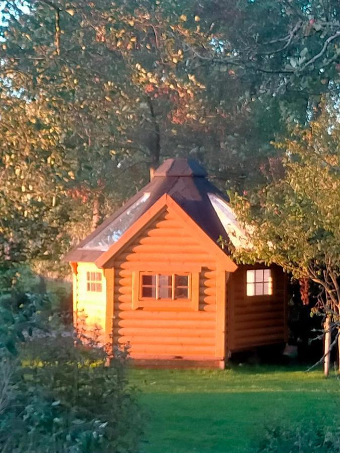 Sterrenzicht Bb Weidszicht Bed & Breakfast Doezum Екстериор снимка